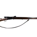 Vetterli 1878​ 10