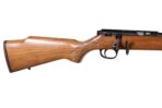 Unbekannt 883​ .22WinMag Repetierbüchse