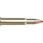 Hornady .30-30 Win 160grs 20STK FTX Lever Evolution