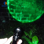 Grün Taschenlampe