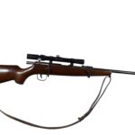 Burgsmüller ohne​ .22lr Einzelladerbüchse